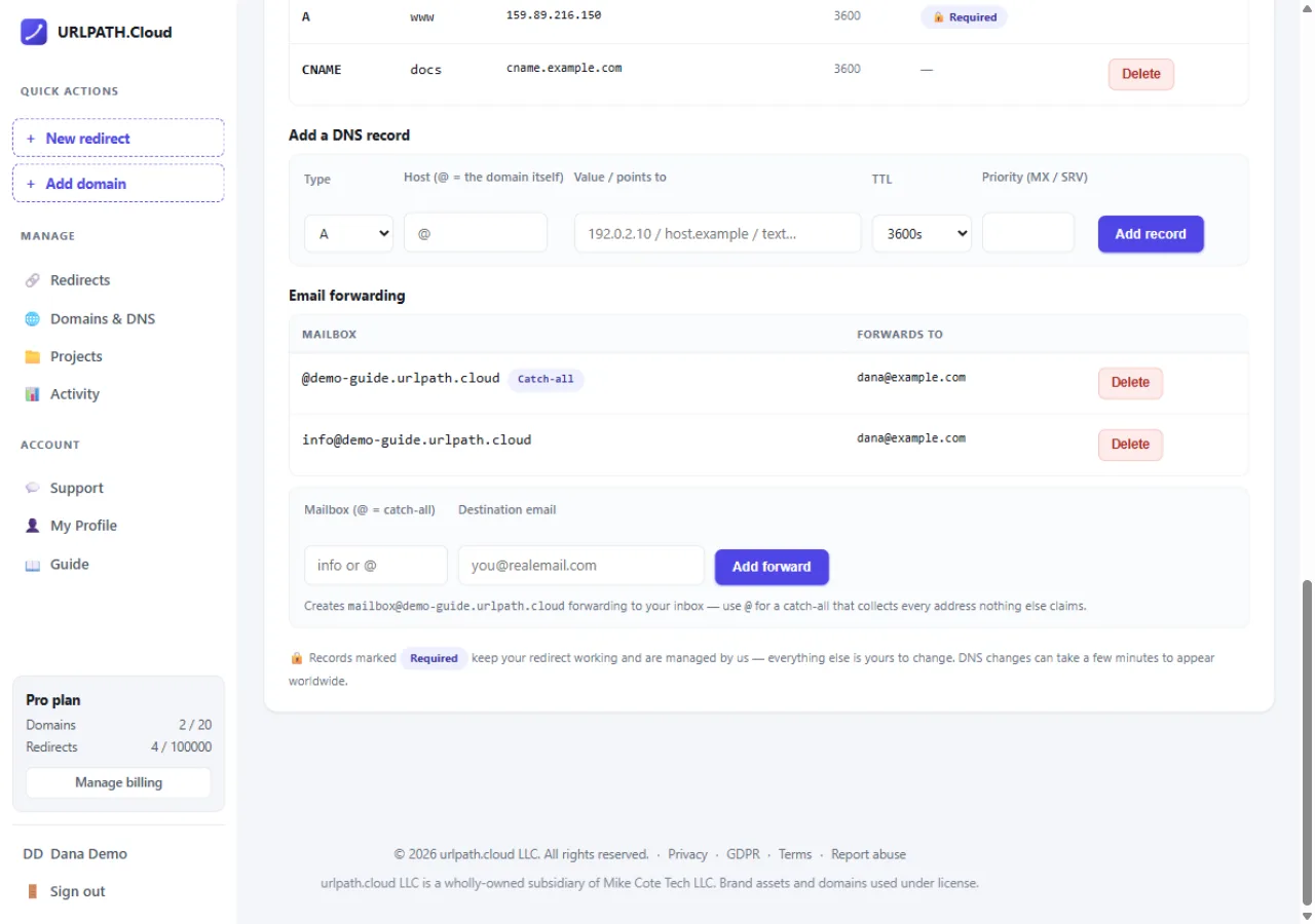 Email forwarding section: a catch-all forward with a Catch-all badge, a specific info forward, and the add forward form