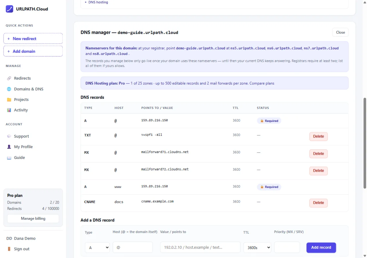 DNS manager: nameserver callout, plan usage banner, records table with required-record badges, and the add record form