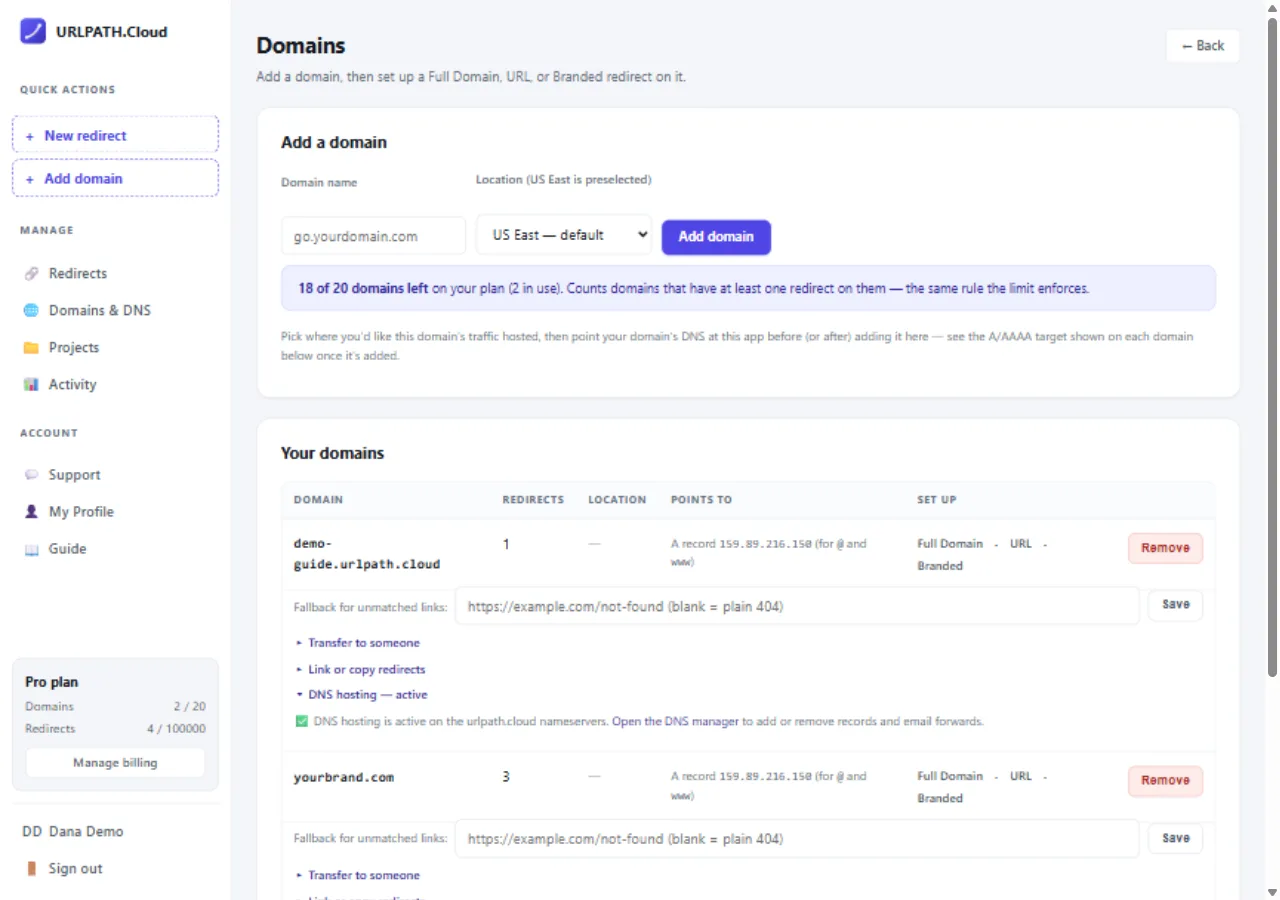 Domains page: the Add a domain form and the domain list with a DNS hosting section expanded